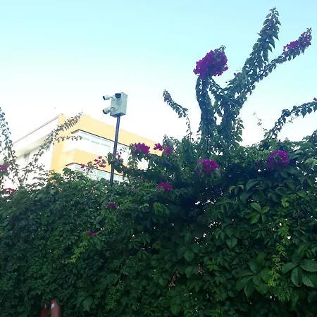 Druid Grove Residance Alanya