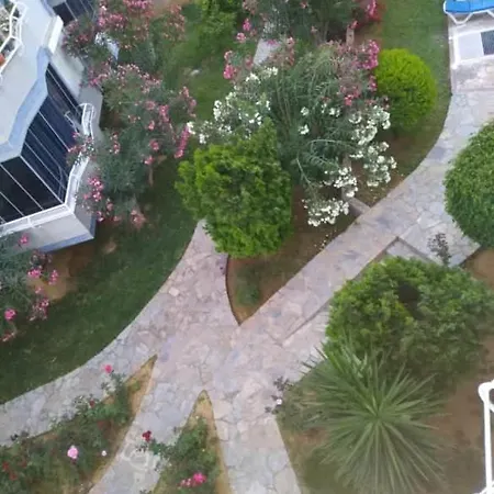 Apartamento Druid Grove Residance